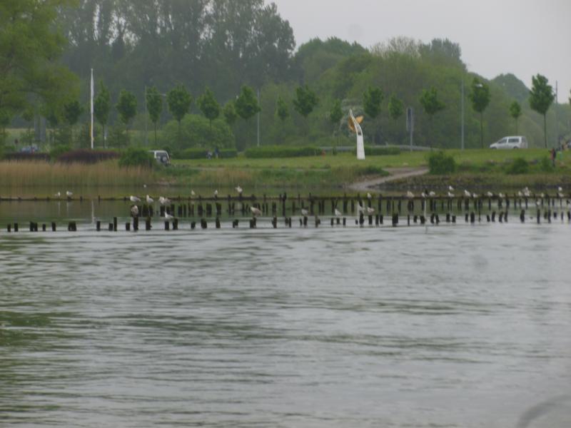 Name: P1210895.jpg
Hits: 9269
Größe: 50,0 KB